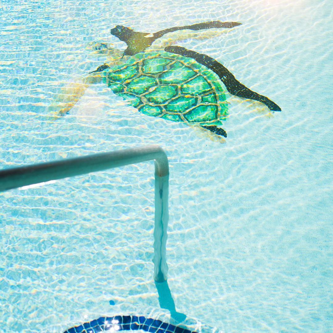 Sea Of Cortez Beach Club San Carlos Nuevo Guaymas Eksteriør bilde