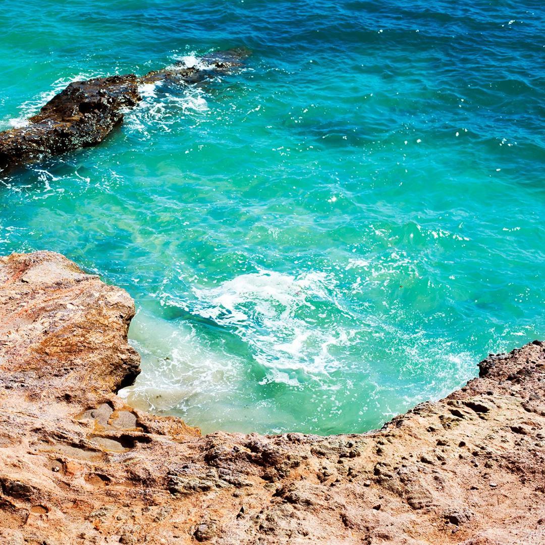 Sea Of Cortez Beach Club San Carlos Nuevo Guaymas Eksteriør bilde